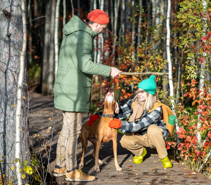 Shutterstock 2554313025